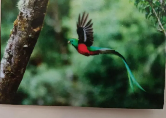 Quetzal * Playa del Carmen